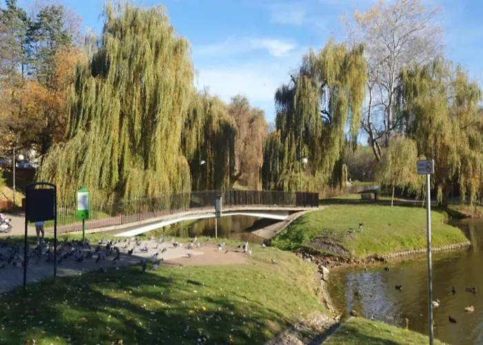 Jacuzzi & Sauna Wola *